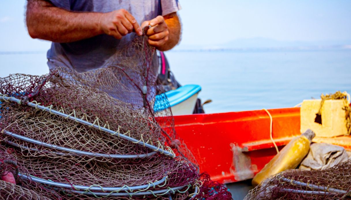 Pesca in Italia, nuove regole dal 2026: Sud più colpito dai nuovi limiti
