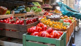 Agricoltura biologica, Italia tra i primi posti in Europa grazie al Sud