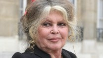 Addio a Brigitte Bardot, il patrimonio da attrice e l’impegno economico per la fondazione