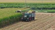 Al via “Ismea investe 2026”: 100 milioni di euro per finanziamenti agevolati nell’agroalimentare
