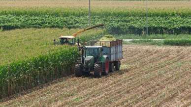 Al via “Ismea investe 2026”: 100 milioni di euro per finanziamenti agevolati nell’agroalimentare