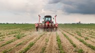 Zes unica per il settore agricolo: di quanto aumenta il credito d’imposta e come funziona