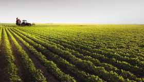 Bonus agricoltura 2026, i contributi per chi avvia aziende o ha terreni