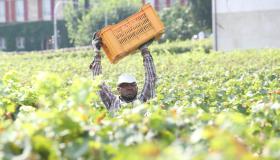 Lavoratori stranieri in Italia, +139% di assunzioni in 8 anni: in quali settori