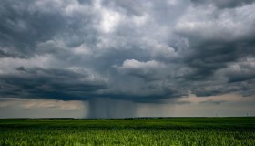 Crisi dell’agricoltura tra maltempo e alluvioni, tutti i prodotti a rischio