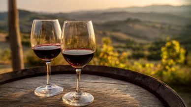Brunello d’élite ed export, il modello Poggio degli Ulivi tra Europa e Cina