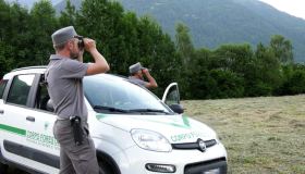 Concorso per 30 forestali a Trento, basta il diploma: scadenza e requisiti