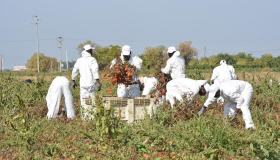 Decreto Flussi, doppio click day: requisiti, Paesi ammessi e documenti necessari