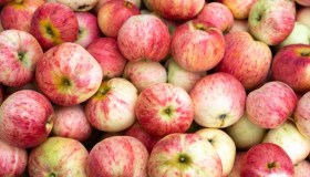 Italia leader mondiale delle mele, supera USA e Cina: mercato vale 1,14 miliardi di euro