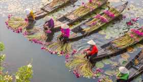 L’Unione europea aggiorna la lista dei paradisi fiscali: vi entra il Vietnam