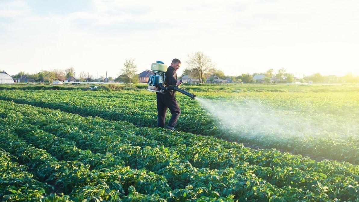 Agricoltura biologica, solo l’8% delle aziende in Italia la pratica
