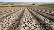 Crisi idrica: al Sud il 97% delle aziende agricole è in difficoltà