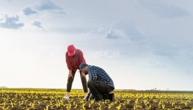 Agricoltura, il 12% delle imprese investe in innovazione: Sud indietro, vince il Nord