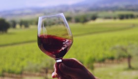 Quanta acqua si consuma per produrre un litro di vino? Le soluzioni anti crisi