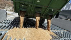 Non solo petrolio, come Cina e Russia hanno rivoluzionato il mercato globale del grano