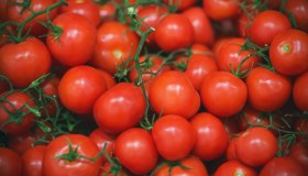 Italia seconda al mondo per la produzione di pomodoro, superata la Cina