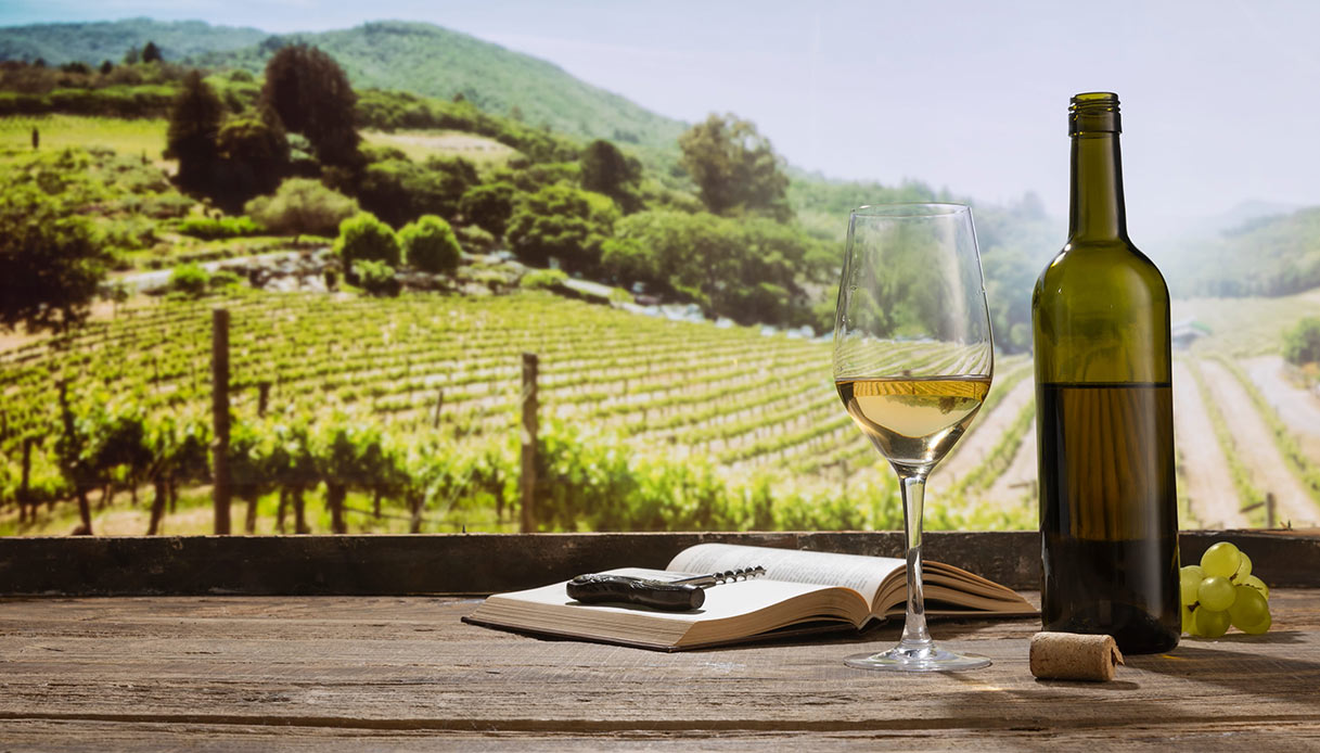 Vino italiano: i numeri di un’eccellenza