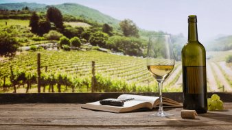 Vino italiano: i numeri di un’eccellenza