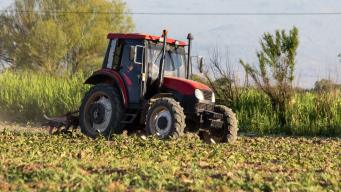 Bando Ismea 2026, contributi all’80% a fondo perduto per trattori agricoli