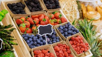 Ortofrutta, spesa famiglie italiane sale a 43 miliardi: avocado, frutti rossi e bio i nuovi trend