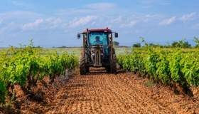 Finanziamenti agevolati per imprenditori agricoli: 120 milioni col bando Generazione Terra