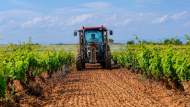 Finanziamenti agevolati per imprenditori agricoli: 120 milioni col bando Generazione Terra