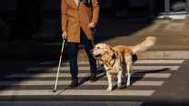 Detrazione mantenimento cane guida più alta nel Modello 730/2026: i nuovi importi