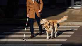 Detrazione mantenimento cane guida più alta nel Modello 730/2026: i nuovi importi