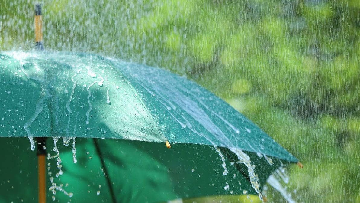 Emergenza maltempo al Sud, l’impatto dei nubifragi sui prezzi di frutta e verdura