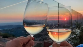 Il vino italiano punta alla qualità, export premium al 17% e obiettivo crescita al 3,5%