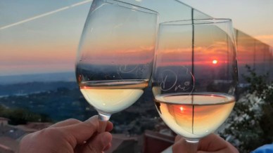 Il vino italiano punta alla qualità, export premium al 17% e obiettivo crescita al 3,5%