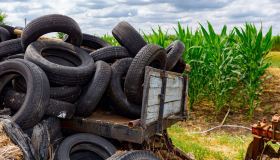 Esenzione Tari per le imprese agricole, quando non si paga la tassa sui rifiuti