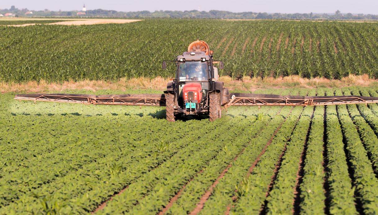 Aggiornati contributi volontari lavoratori agricoli Inps, quanto si paga e cosa cambia