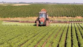 Aggiornati contributi volontari lavoratori agricoli Inps, quanto si paga e cosa cambia