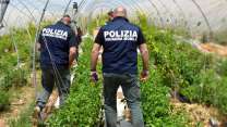 Sfruttamento e caporalato, fino al 30% di lavoratori irregolari: la regione maglia nera