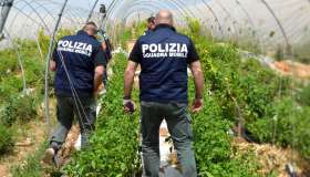 Sfruttamento e caporalato, fino al 30% di lavoratori irregolari: la regione maglia nera