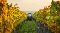 Agri Job Days, 250 assunzioni anche senza esperienza: come ed entro quando candidarsi