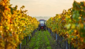 Agri Job Days, 250 assunzioni anche senza esperienza: come ed entro quando candidarsi