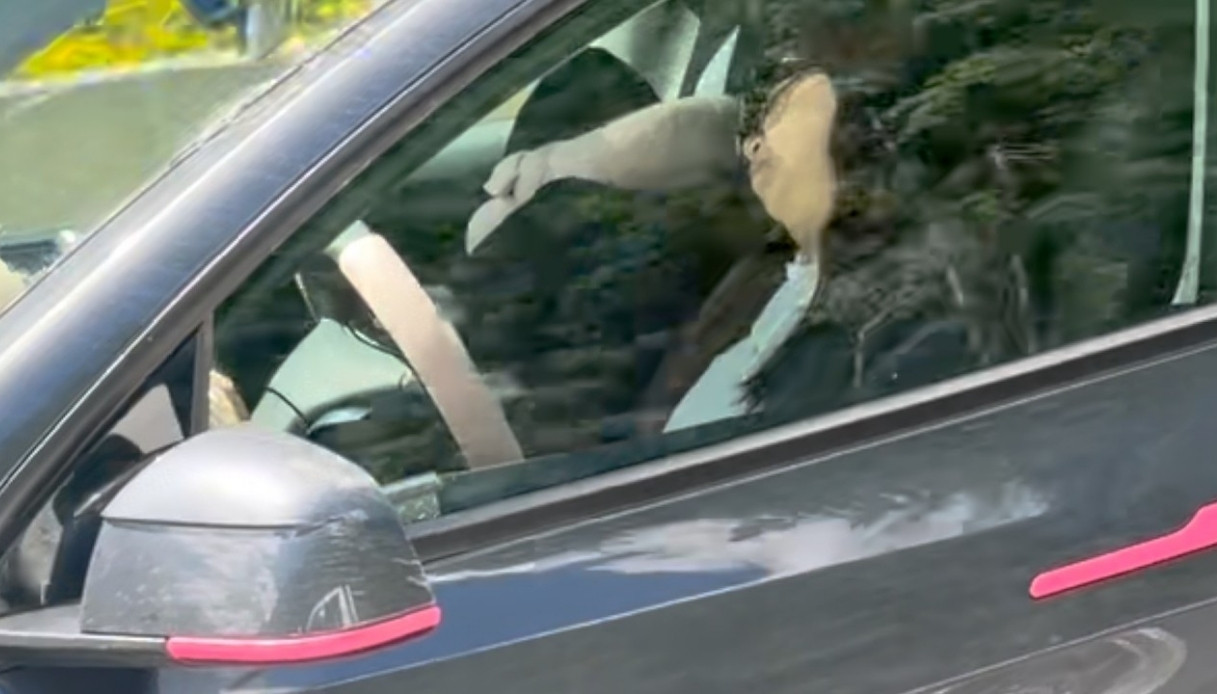 Dorme al volante della Tesla in autostrada, la guida autonoma spaventa: è legale in Italia?