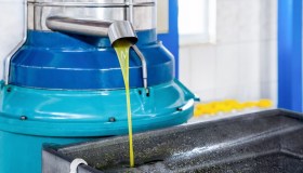 Regioni con più olio in Italia, giacenze oltre le 258 mila tonnellate (ma solo il 20% è bio)