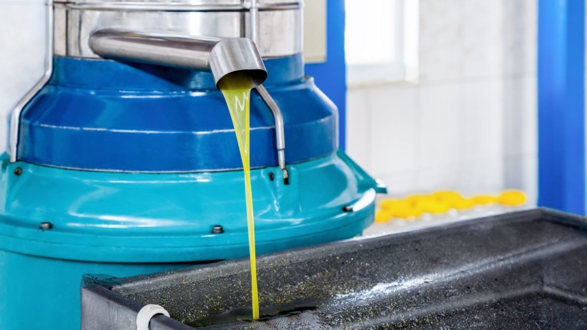 Regioni con più olio in Italia, giacenze oltre le 258 mila tonnellate (ma solo il 20% è bio)