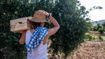 Maternità e paternità settore agricolo, quanto e a chi spetta: i nuovi importi Inps