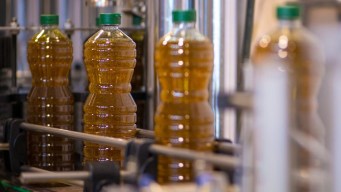 Controlli a tappeto per stanare gli abusivi dell’olio, Lollobrigida annuncia la task force