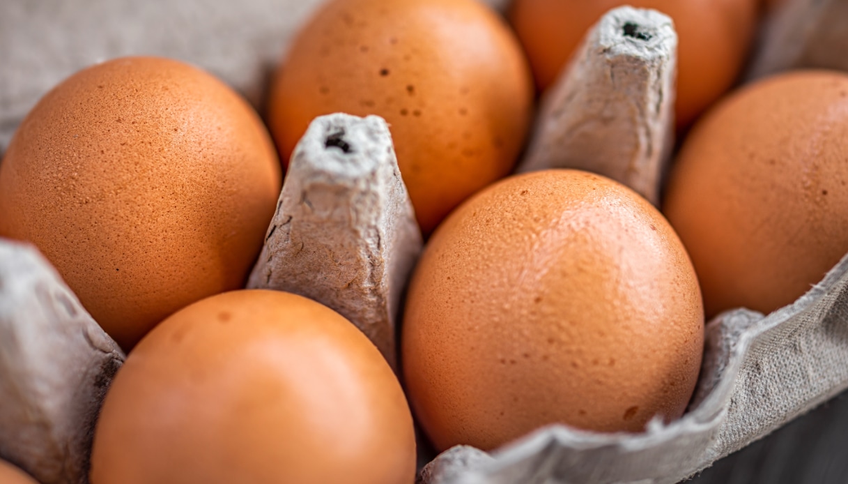 salmonella nelle uova fresche del supermercato via a un nuovo richiamo da Quifinanza.it salmonella nelle uova fresche del supermercato via a un nuovo richiamo