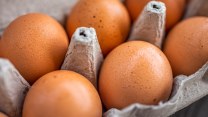 Salmonella nelle uova fresche del supermercato, via a un nuovo richiamo