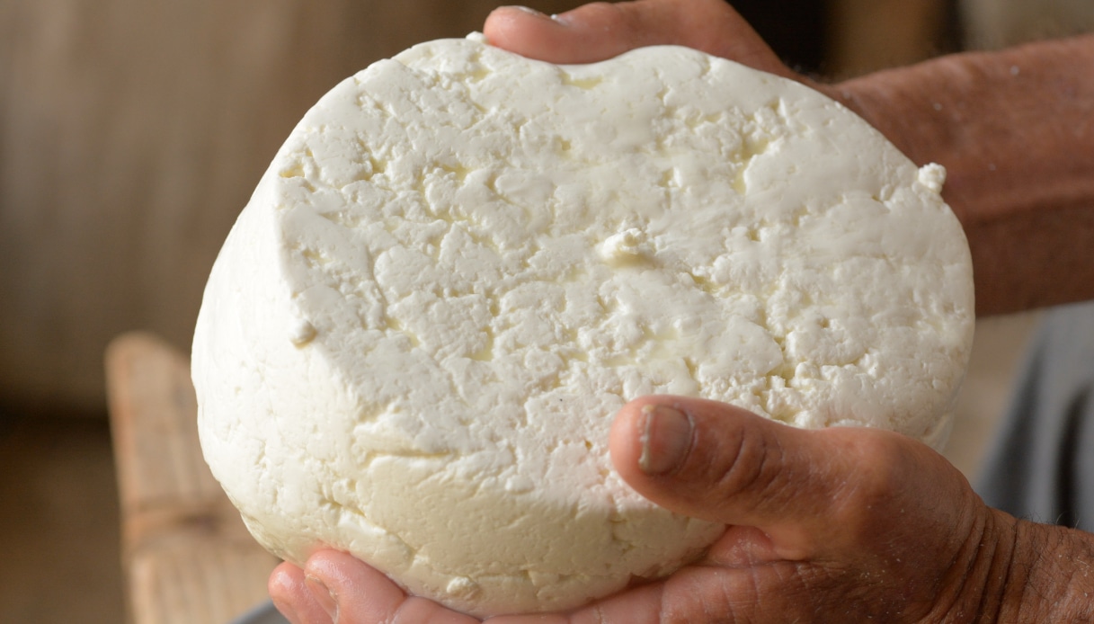 rischio escherichia coli nel formaggio scatta il richiamo i lotti da non consumare da Quifinanza.it rischio escherichia coli nel formaggio scatta il richiamo i lotti da non consumare