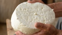 Rischio Escherichia coli nel formaggio, scatta il richiamo: i lotti da non consumare