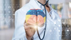 Giornata mondiale della neurologia, ecco le sfide per la scienza che studia cervello e sistema nervoso