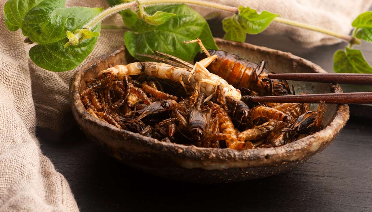 Mangiare insetti forse non è così male, almeno per la psiche