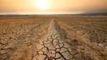 Super El Niño, prezzi del cibo su fino al 2028: la spesa degli italiani rischia un +15,8%